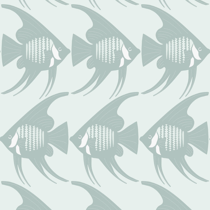 Angel Fish - Baha Blue Wallpaper