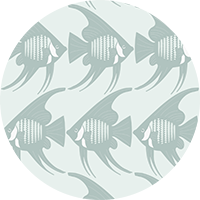 Angel Fish - Black Wallpaper