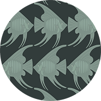 Angel Fish - Black Wallpaper