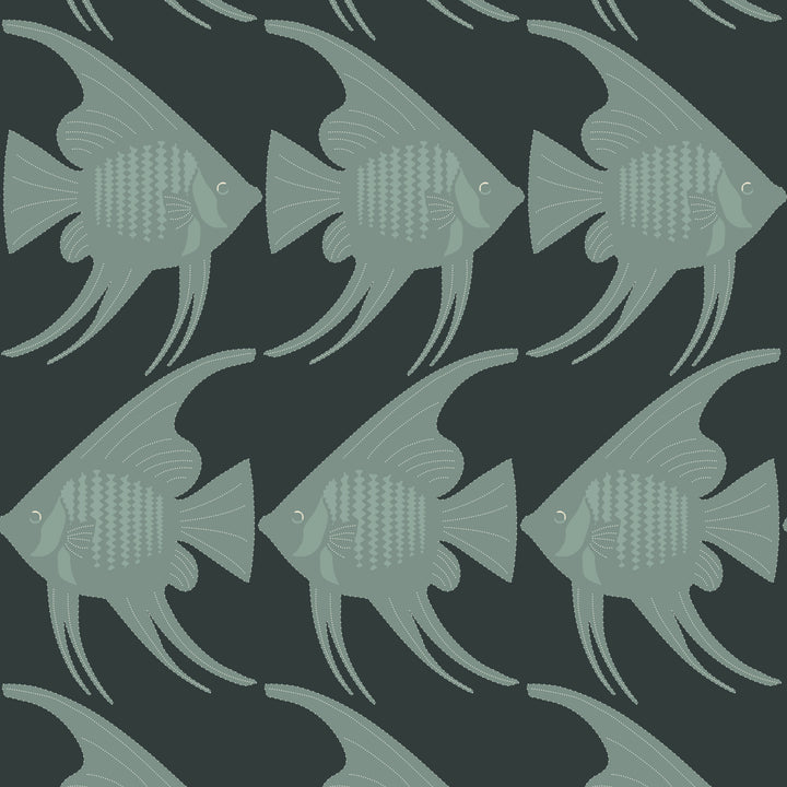 Angel Fish - Black Wallpaper
