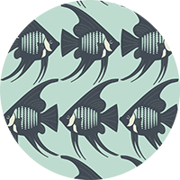 Angel Fish - Black Wallpaper