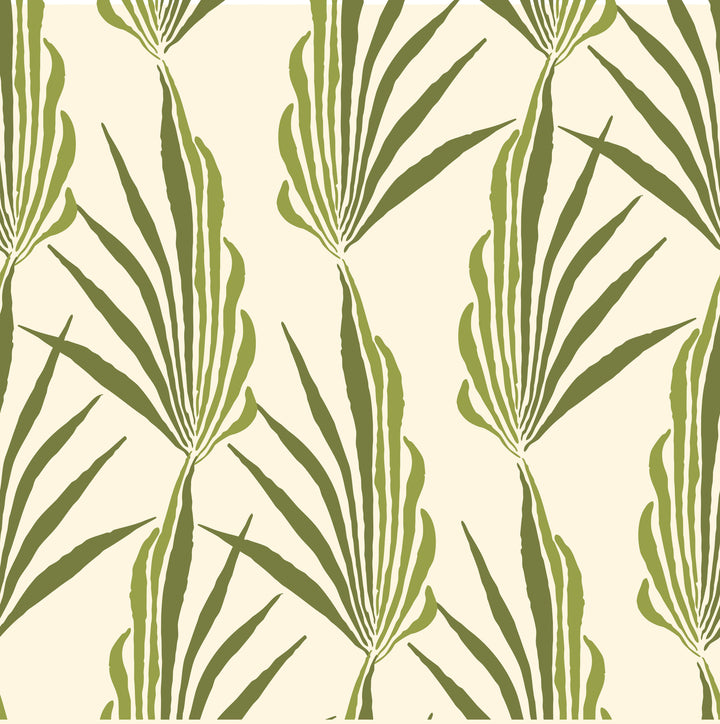 Areca Palm - Green Leaf Wallpaper