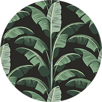 Banana Leaf - Black Green Wallpaper