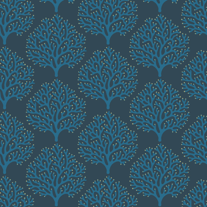 Beach Coral - Midnight Sky Wallpaper