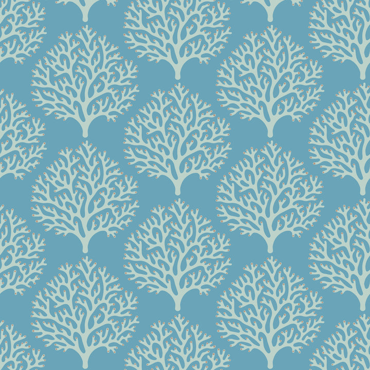 Beach Coral - Sanibel Blue Wallpaper
