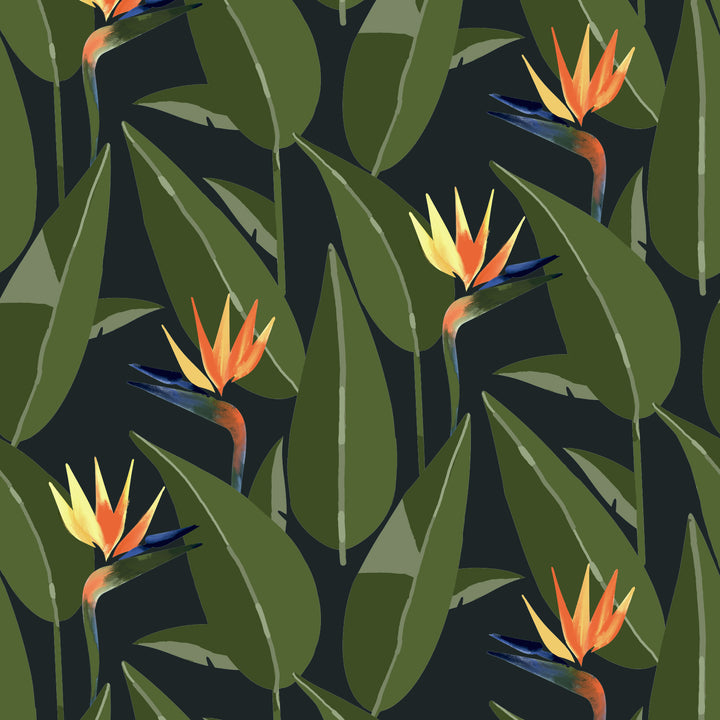 Birds of Paradise - Black Wallpaper