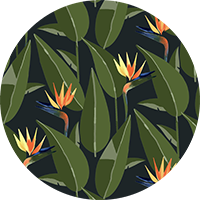 Birds of Paradise - Sand Wallpaper