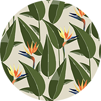 Birds of Paradise - Sand Wallpaper