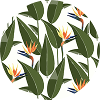 Birds of Paradise - Sand Wallpaper