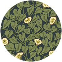 Climbing Vine - Inkwell Wallpaper