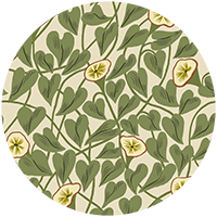 Climbing Vine - Inkwell Wallpaper