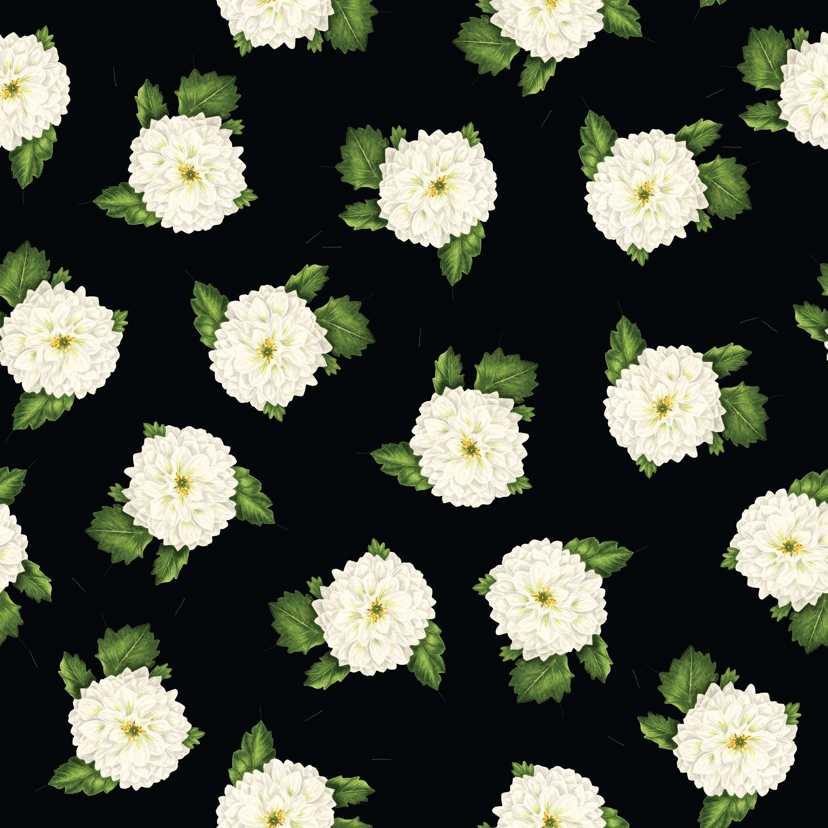 Dahlia - Black Floral Wallpaper by Cara&rsquo;s Garden – Mitchell Black
