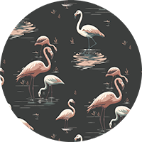 Flamingo - Pink Wallpaper