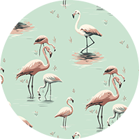 Flamingo - Pink Wallpaper