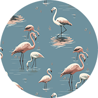Flamingo - Pink Wallpaper