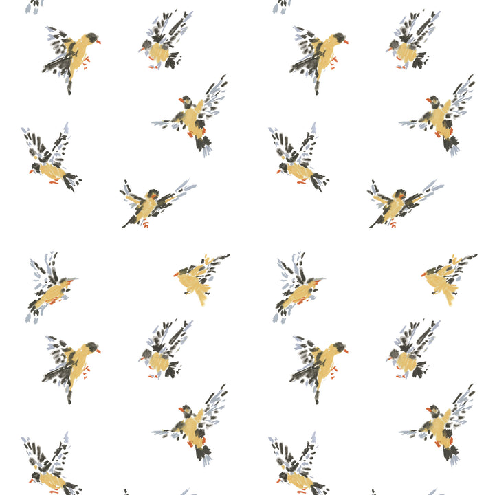 Flight of the Finches - Sketchpad White Wallpaper