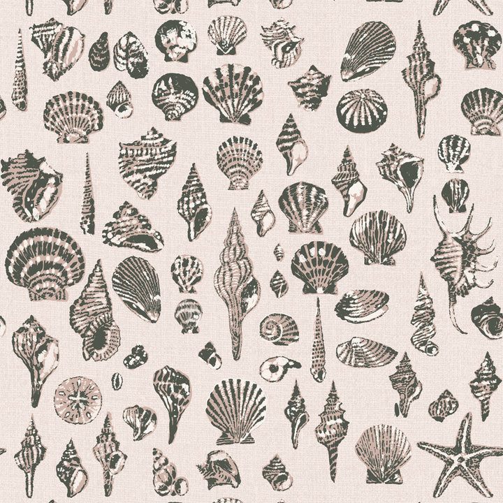 Lowcountry Love Shells - Barely Blush by Megan Molton