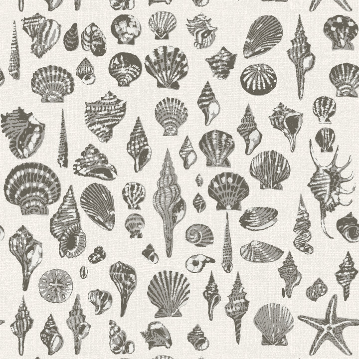 Lowcountry Love Shells - Dune Veil Beige by Megan Molton