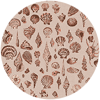 Lowcountry Love Shells - Moonlit Glow Black Blush by Megan Molton