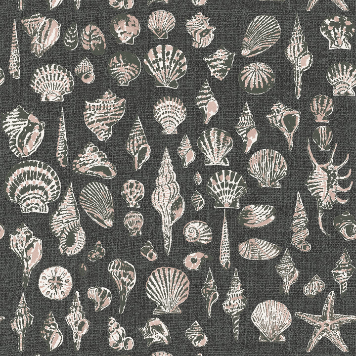 Lowcountry Love Shells - Moonlit Glow Black Blush by Megan Molton