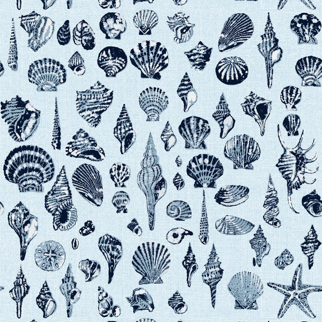 Lowcountry Love Shells - Serene Sky Blue by Megan Molton