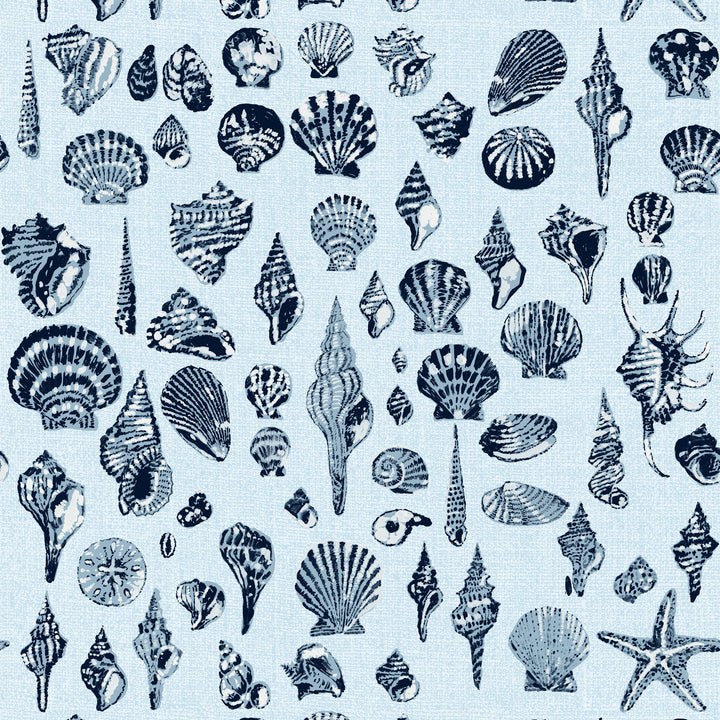 Lowcountry Love Shells - Serene Sky Blue by Megan Molton