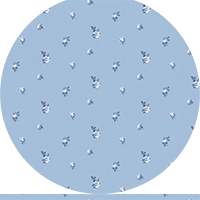 Miniature Roses - Porcelain Blue Floral Wallpaper