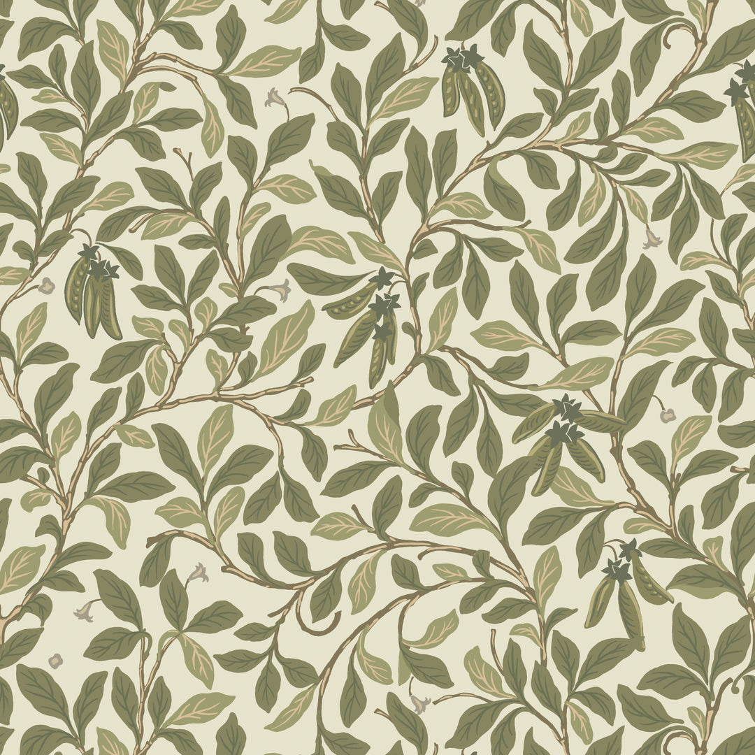 Leaf and Pod - Taupe Green Wallpaper
