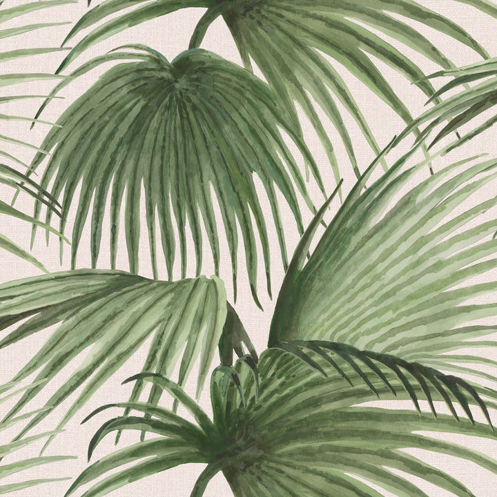 Pawley’s Island Palms - Barely Blush by Megan Molton