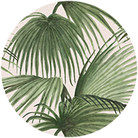 Pawley’s Island Palms - Serene Sky Blue by Megan Molton