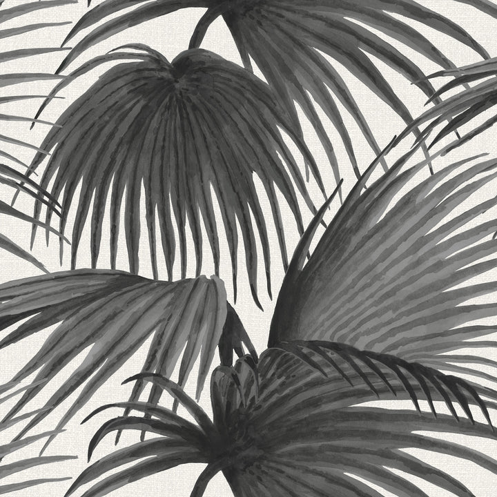 Pawley’s Island Palms - Black Linen by Megan Molton