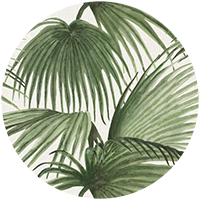 Pawley’s Island Palms - Serene Sky Blue by Megan Molton