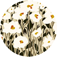 Poppy Fields Floral Wall Mural - Scarlet Shadows