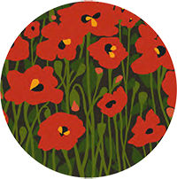 Poppy Fields Floral Wall Mural - Scarlet Shadows