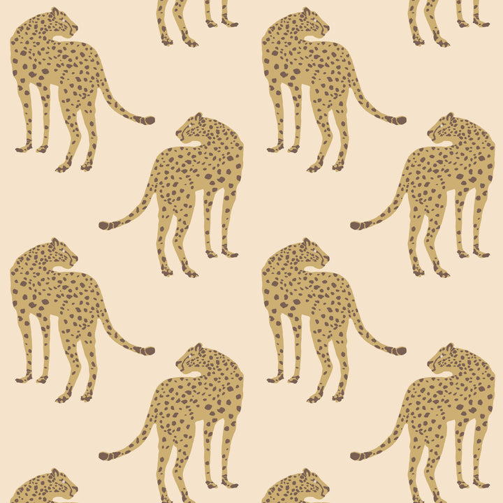 Prowling Cheetah - Desert Sand Wallpaper