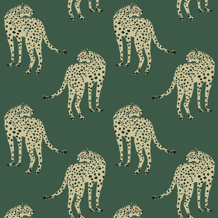 Prowling Cheetah - Juniper Wallpaper