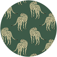 Prowling Cheetah - Juniper Wallpaper