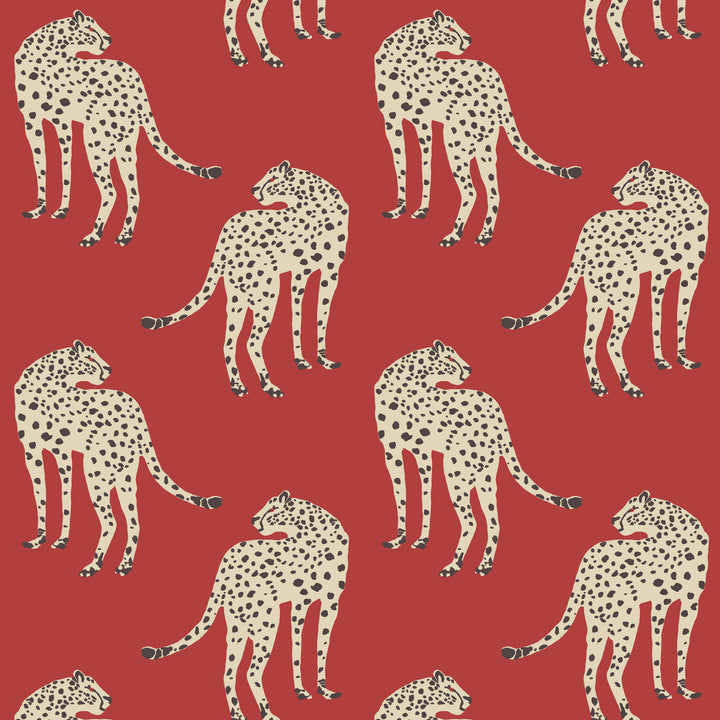 Prowling Cheetah - Scarlet Chase Wallpaper