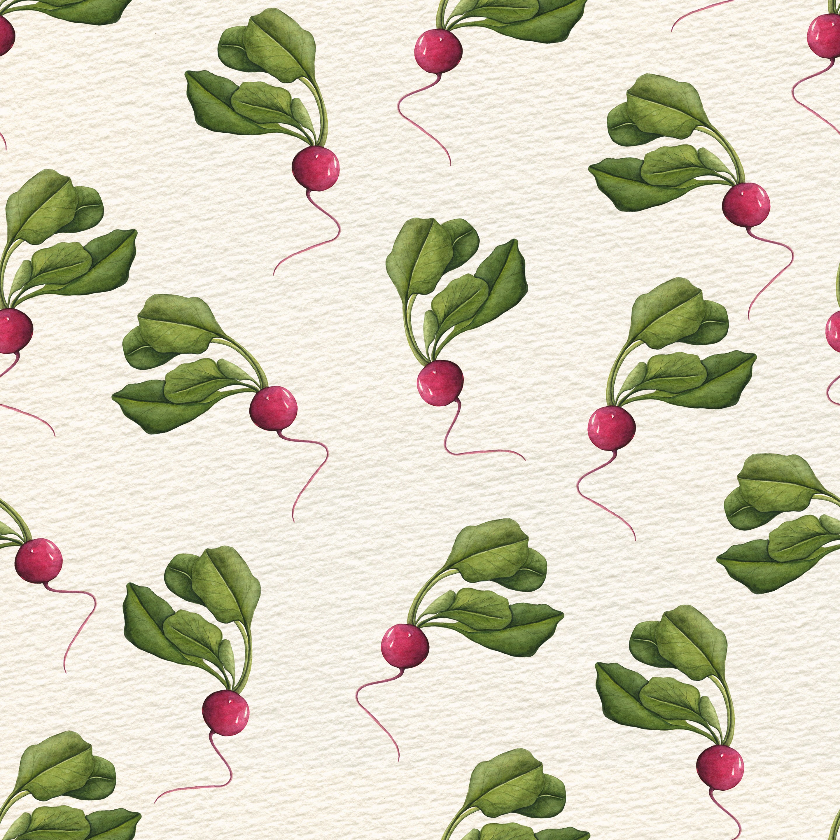 Radishes   Watercolor Wallpaper by Cara's Garden