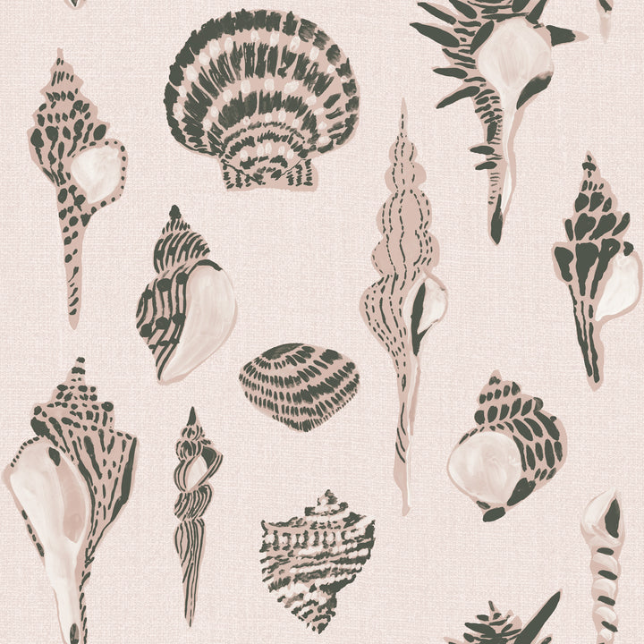 Sullivan’s Island Shells - Barely Blush by Megan Molton