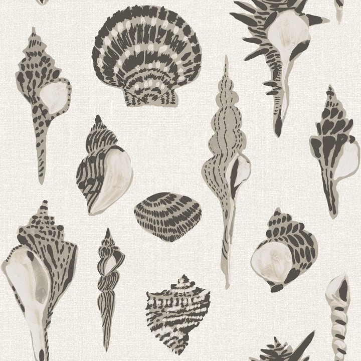 Sullivan’s Island Shells - Dune Veil Beige by Megan Molton