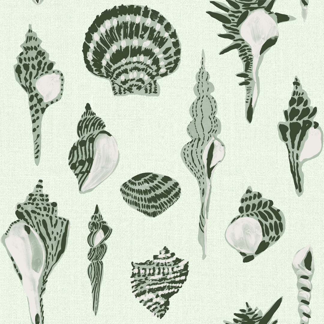 Sullivan’s Island Shells - Marsh Breeze Green by Megan Molton