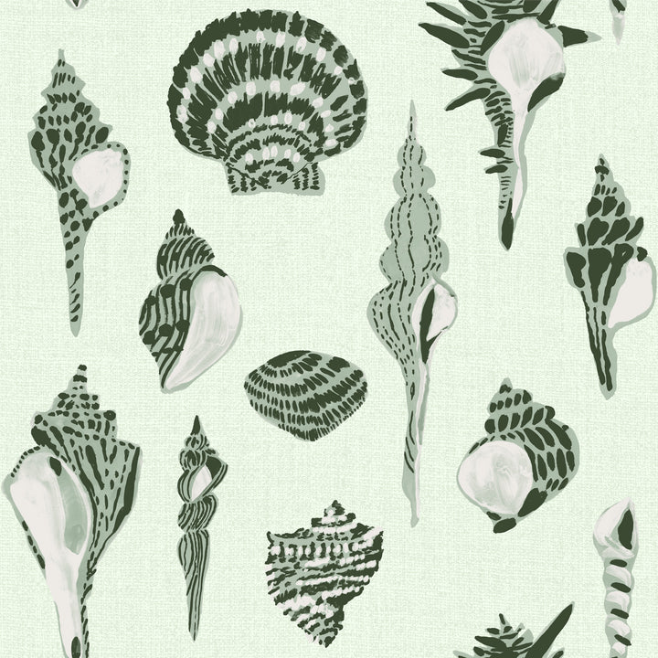 Sullivan’s Island Shells - Marsh Breeze Green by Megan Molton