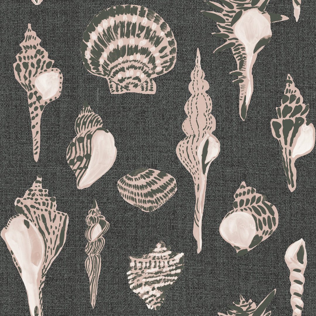 Sullivan’s Island Shells - Moonlit Glow Black Blush by Megan Molton