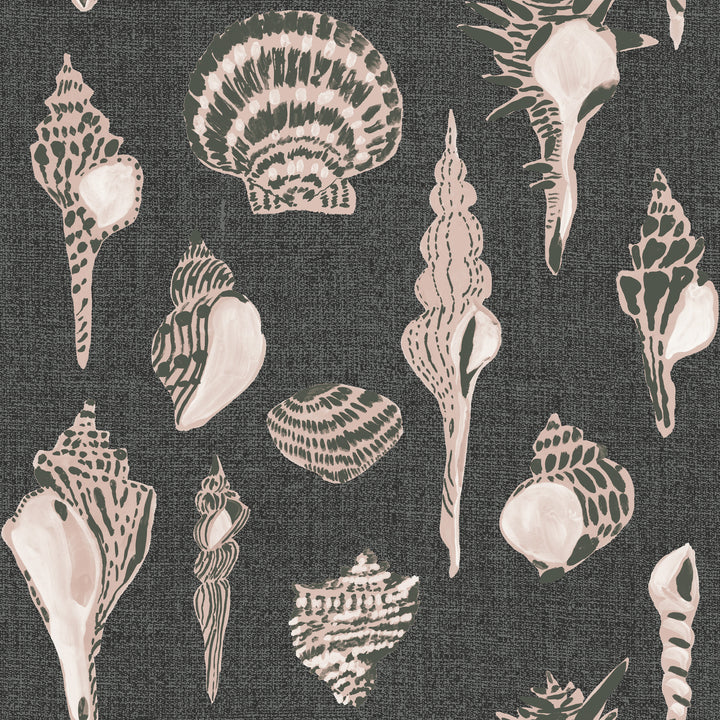 Sullivan’s Island Shells - Moonlit Glow Black Blush by Megan Molton
