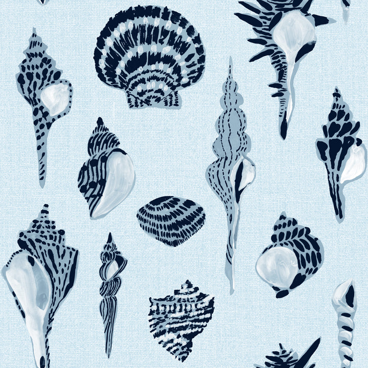 Sullivan’s Island Shells - Serene Sky Blue by Megan Molton
