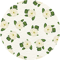 Dahlia - Black Floral Wallpaper by Cara's Garden