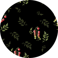 Tomatoes - Watercolor Floral Wallpaper by Cara's Garden
