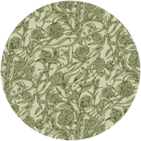 Wandervine - Ebony Taupe Botanical Wallpaper