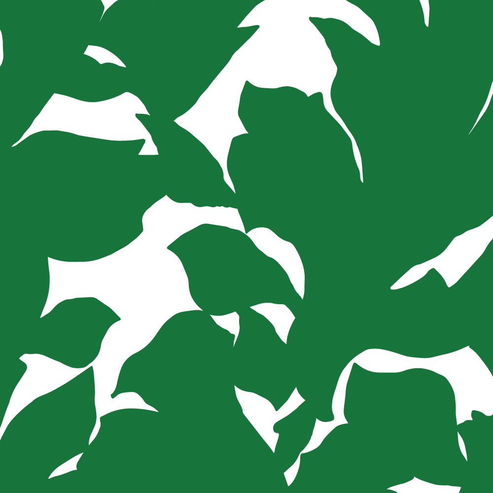 Holly - Signature Green Botanical Wallpaper by Mrs. Paranjape